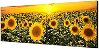 Recensioni di quadro girasoli