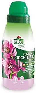 Recensioni di terriccio orchidee