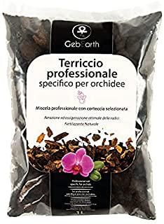 Recensioni di terriccio bonsai